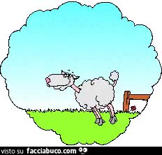 gif animata