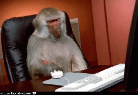 gif animata