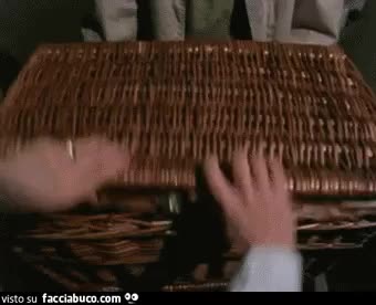 gif animata