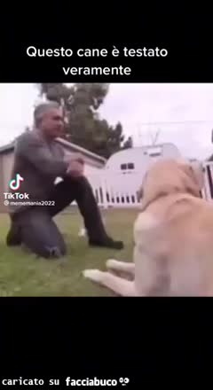 gif animata