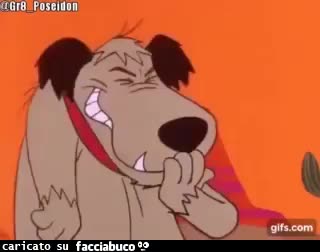 gif animata