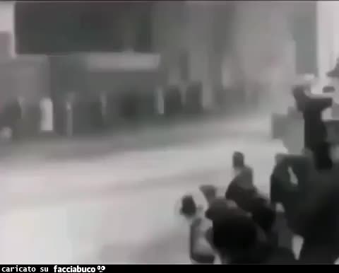 Gif Animata
