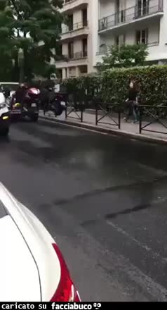 Gif Animata