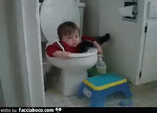 gif animata
