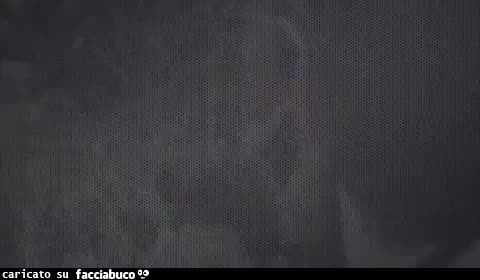 gif animata