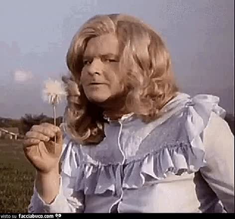 gif animata